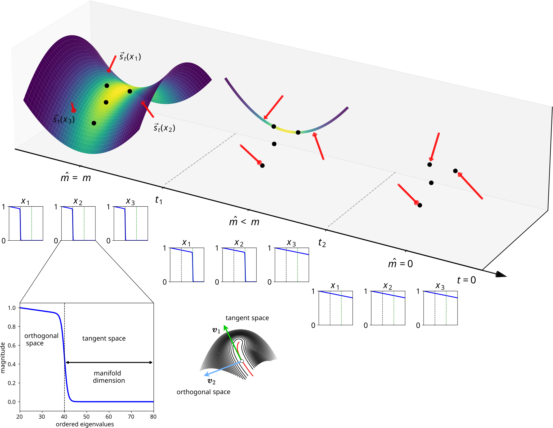 Memorization and Generalization in Generative Diffusion image